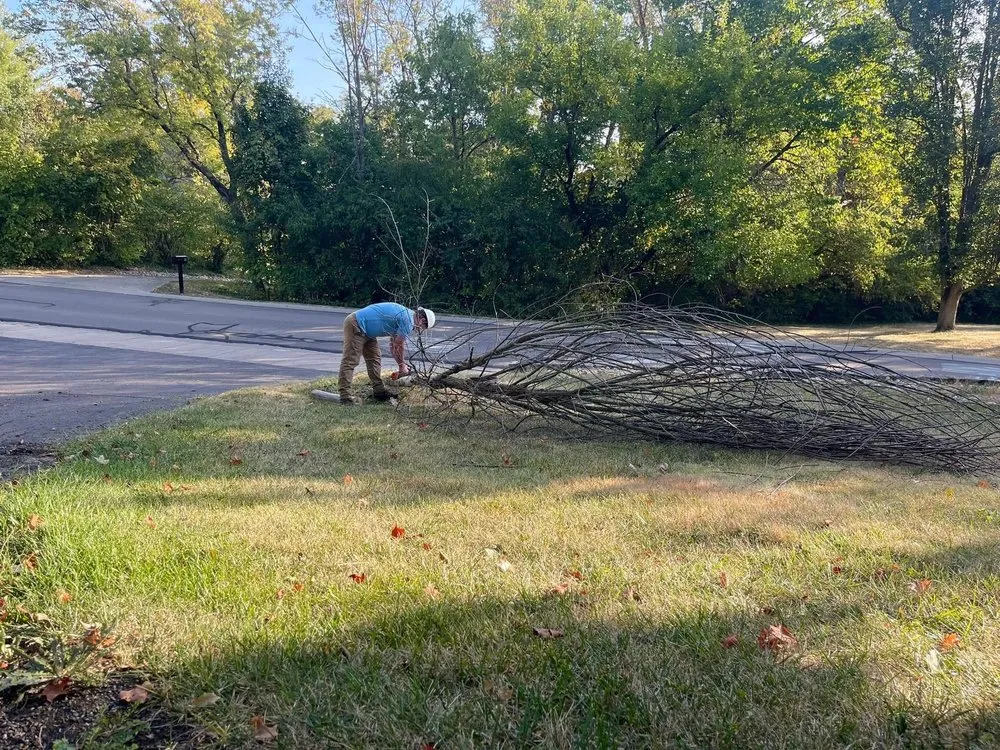 Reliable outdoor landscaping in Cincinnati, OH by Midwest Mowing