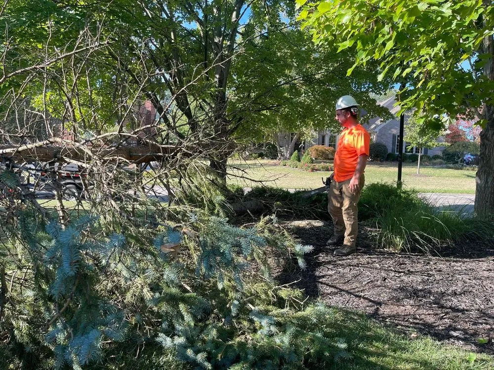 Custom landscape design experts serving Cincinnati, OH - Midwest Mowing