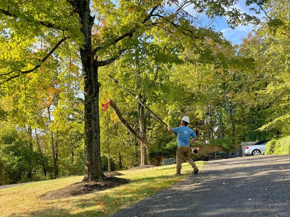 Affordable residential landscaping for outdoor upgrades across Cincinnati, OH - Midwest Mowing