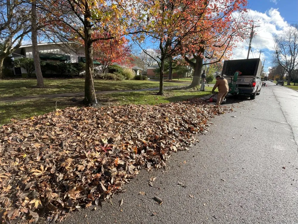 Local landscape design in Cincinnati, OH - Midwest Mowing