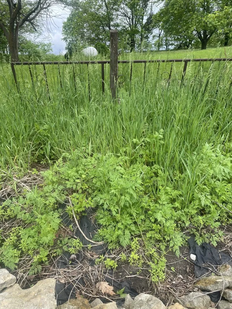 Custom landscape design experts serving Atchison, KS - Midwest Mowing Company