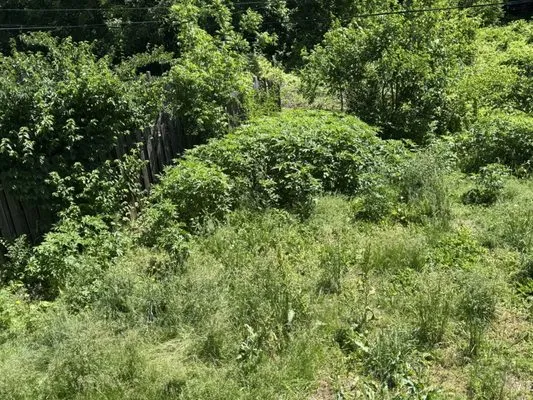 Midwest Mowing Company