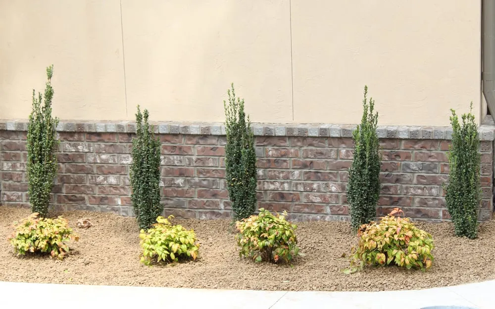 Trusted yard maintenance for beautiful yards across Rogers, AR - Midwest Outdoor Concepts