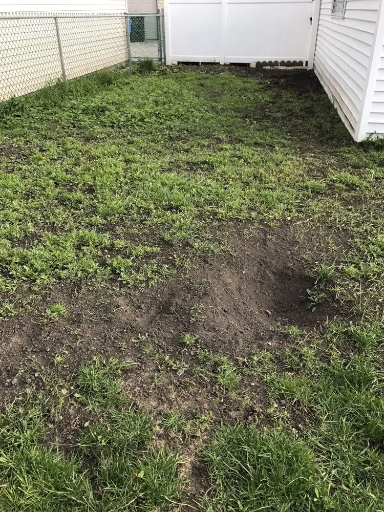 Custom yard maintenance in Chicago, IL by Midwest Plains Landscaping