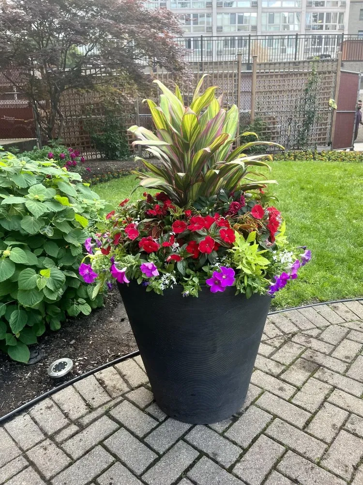 Trusted residential landscaping near you across Chicago, IL - Midwest Plains Landscaping