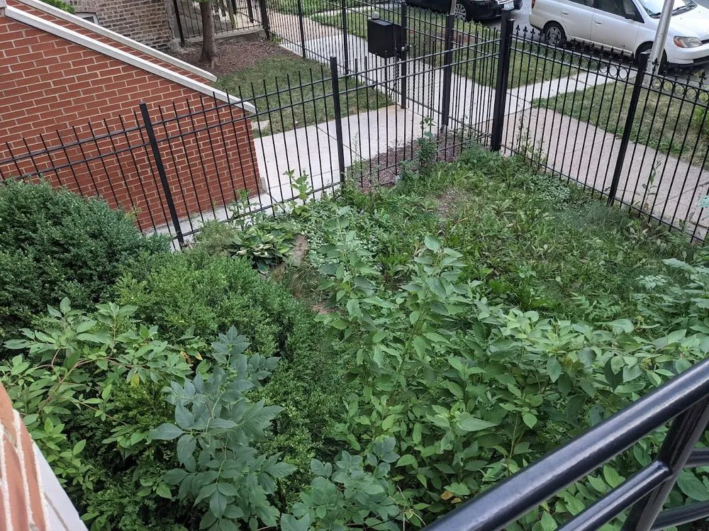 Professional yard maintenance for outdoor upgrades across Chicago, IL - Midwest Plains Landscaping