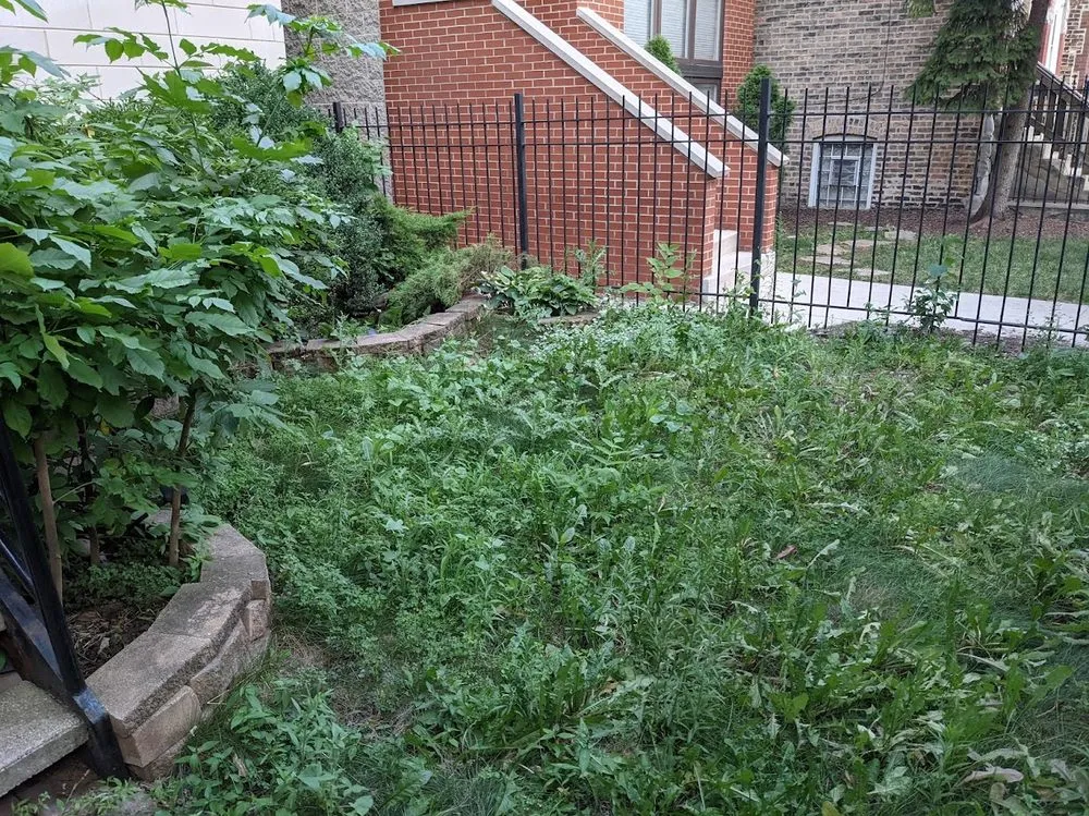 Trusted lawn mowing service in Chicago, IL - Midwest Plains Landscaping