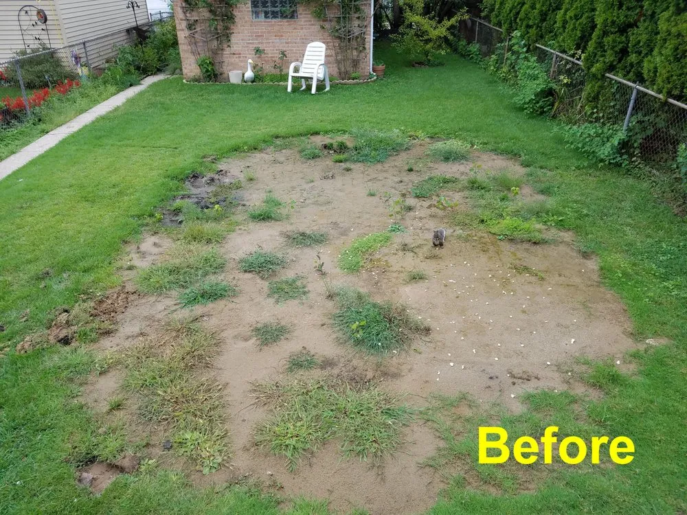 Professional landscape installation for homes in Chicago, IL by Midwest Plains Landscaping