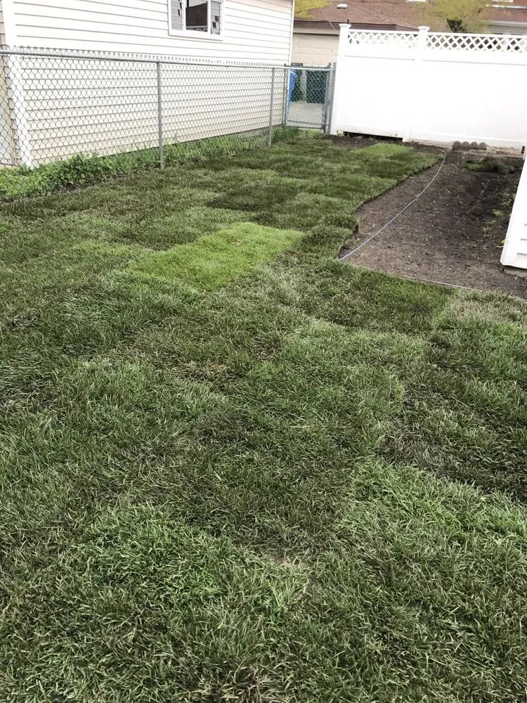 Local landscape installation in Chicago, IL by Midwest Plains Landscaping