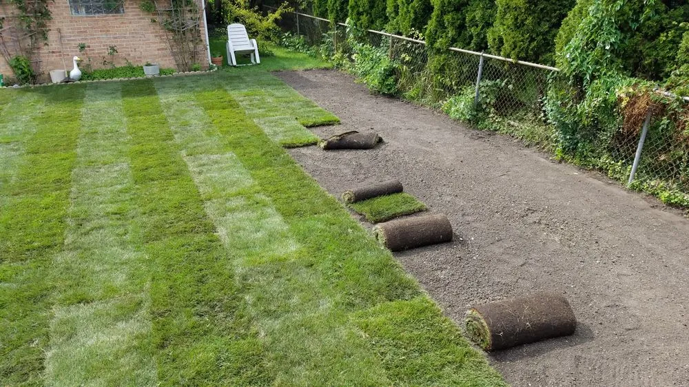 Affordable yard maintenance for homes across Chicago, IL - Midwest Plains Landscaping