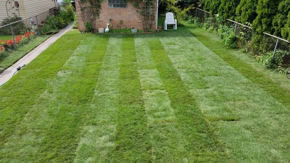 Trusted landscape installation for homes in Chicago, IL by Midwest Plains Landscaping