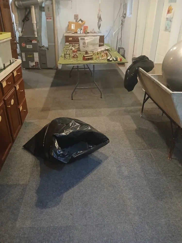 Professional garden landscaping in Glendale, WI by Midwest Pro Tree & Home Restoration Services