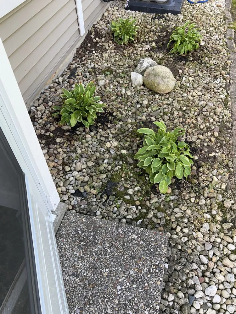 Reliable lawn mowing service near you across Glendale, WI - Midwest Pro Tree & Home Restoration Services