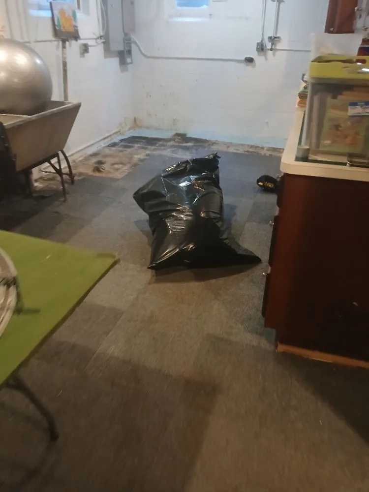 Expert lawn care service in Glendale, WI by Midwest Pro Tree & Home Restoration Services