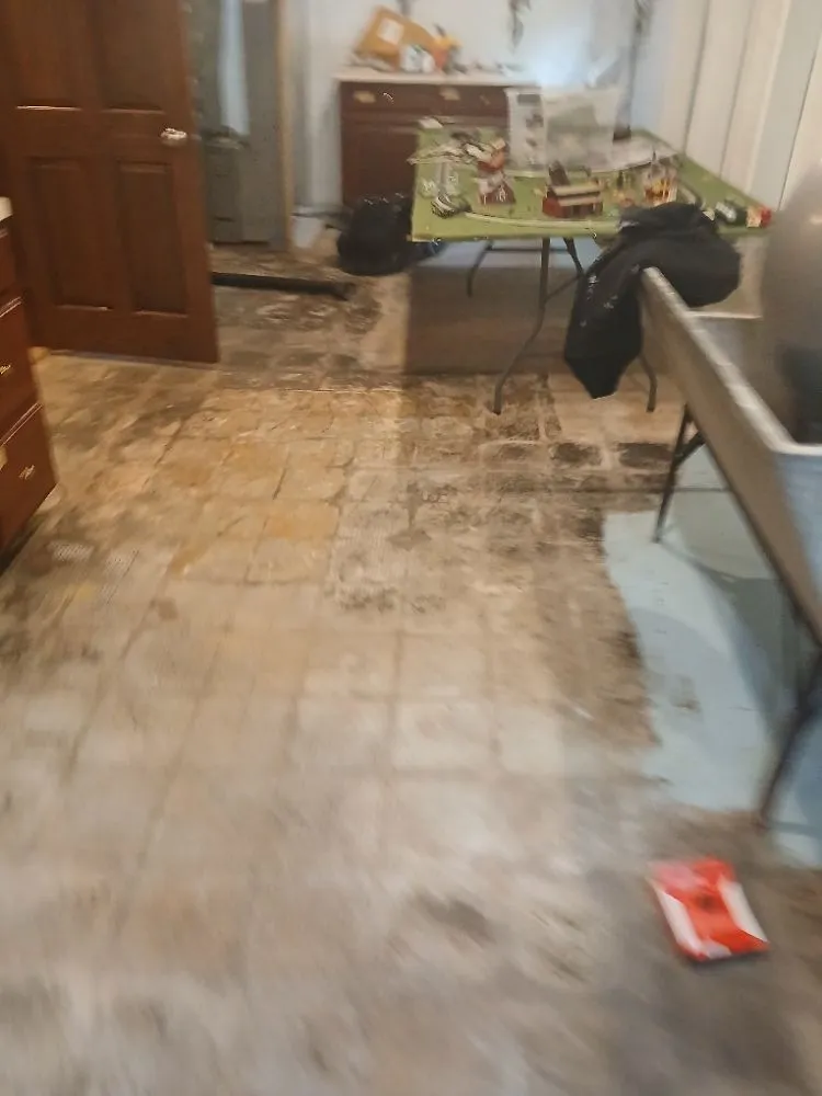 Top-rated outdoor landscaping experts serving Glendale, WI - Midwest Pro Tree & Home Restoration Services