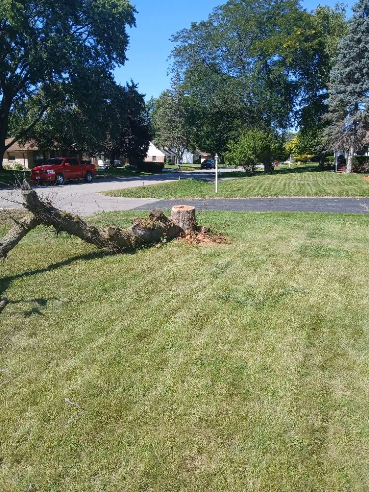 Custom yard cleanup service in Glendale, WI by Midwest Pro Tree & Home Restoration Services