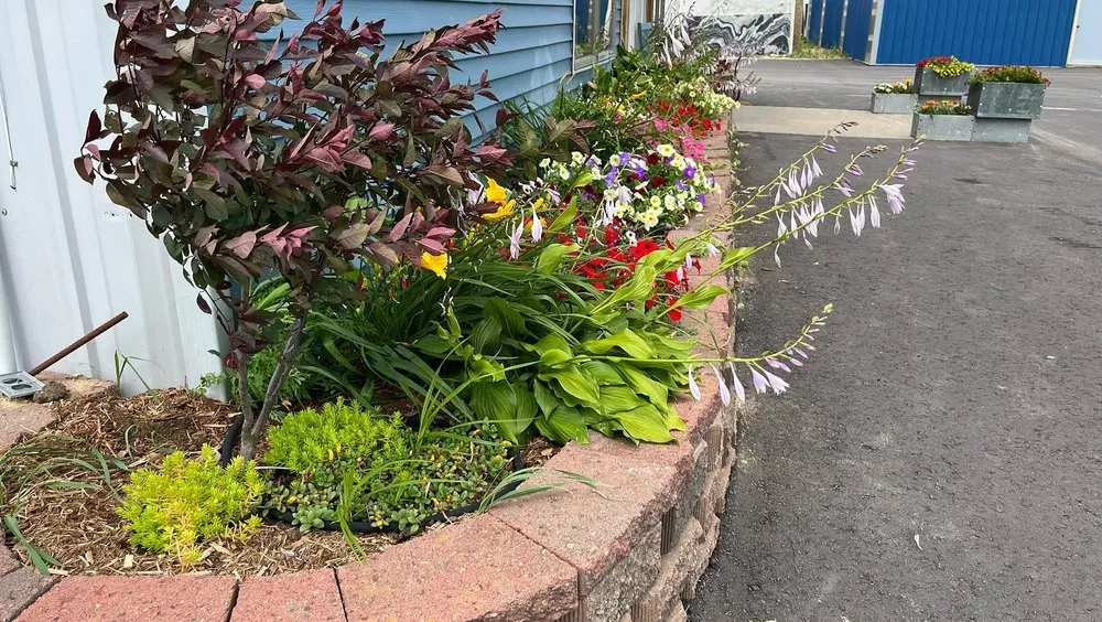 Affordable landscaping services near you in Cashton, WI by Midwest Property Renovation