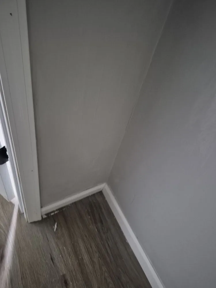 Top-rated landscape design with custom design across Butler, MO - Midwest Property Services