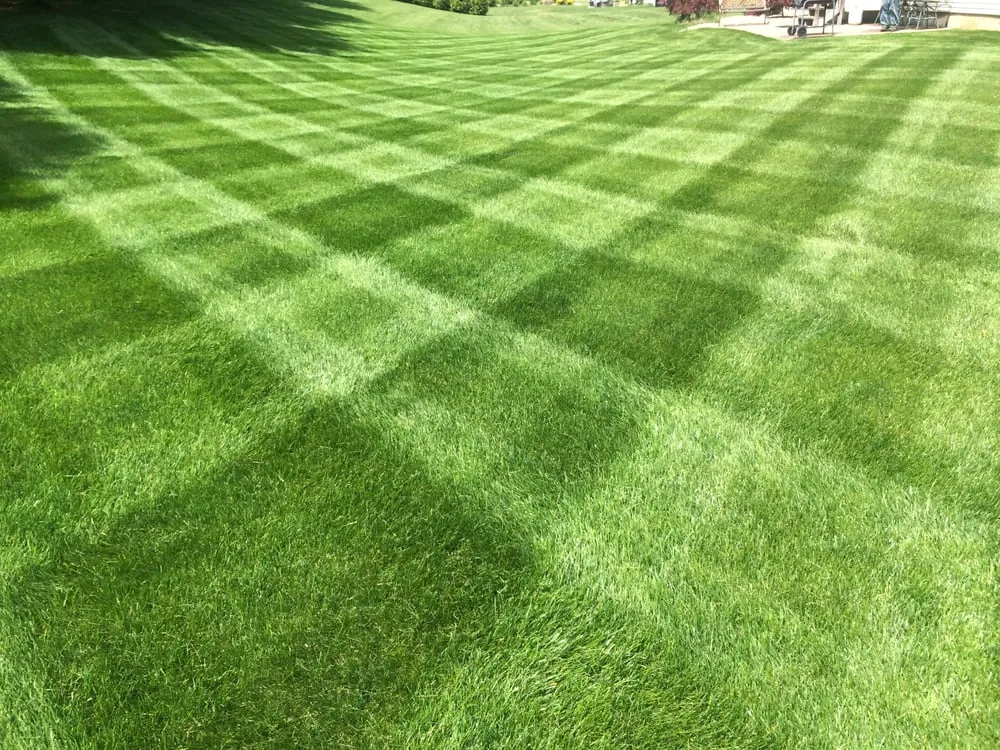 Local lawn mowing service experts serving Ofallon, IL - Midwest Snow and Ice, Inc