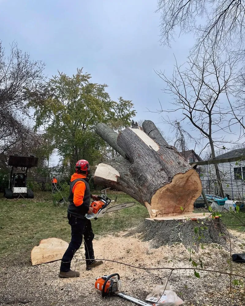 Trusted residential landscaping with custom design across Genesee Depot, WI - Midwest Tree & Landscape