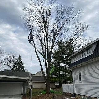 Professional landscape installation for residential properties in Genesee Depot, WI by Midwest Tree & Landscape
