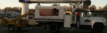 Top-rated lawn care service for residential properties in Ava, IL by Midwest Tree Service