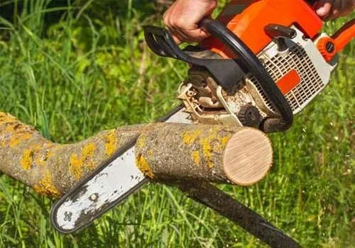 Custom yard maintenance experts serving Ava, IL - Midwest Tree Service