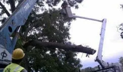 Local lawn mowing service for homes across Ava, IL - Midwest Tree Service
