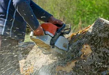 Expert landscaping services experts serving Ava, IL - Midwest Tree Service