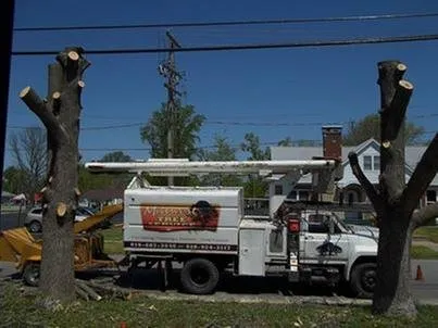 Midwest Tree Service Logo