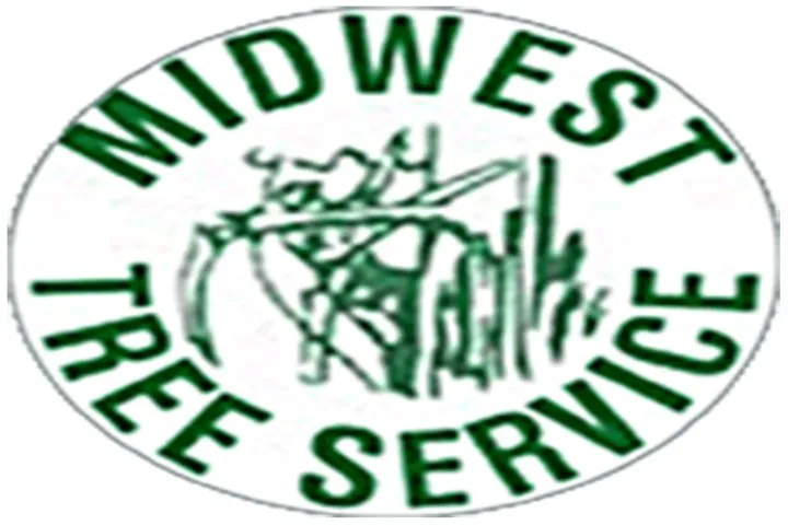 Trusted lawn mowing service for year-round maintenance across Homewood, IL - Midwest Tree Service