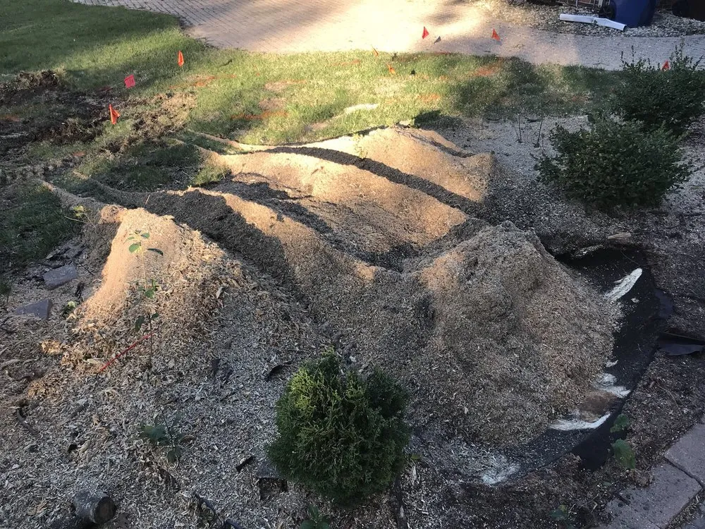 Reliable outdoor landscaping in Homewood, IL - Midwest Tree Service