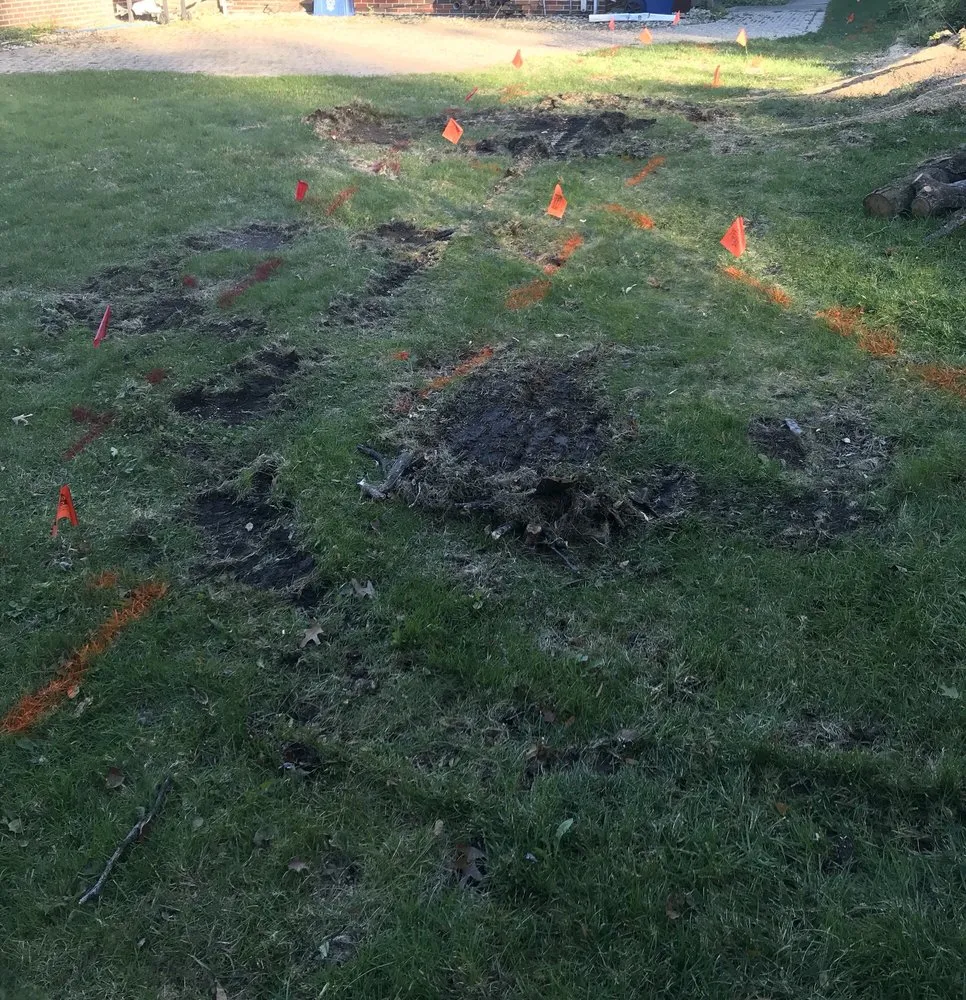 Top-rated landscaping services in Homewood, IL by Midwest Tree Service