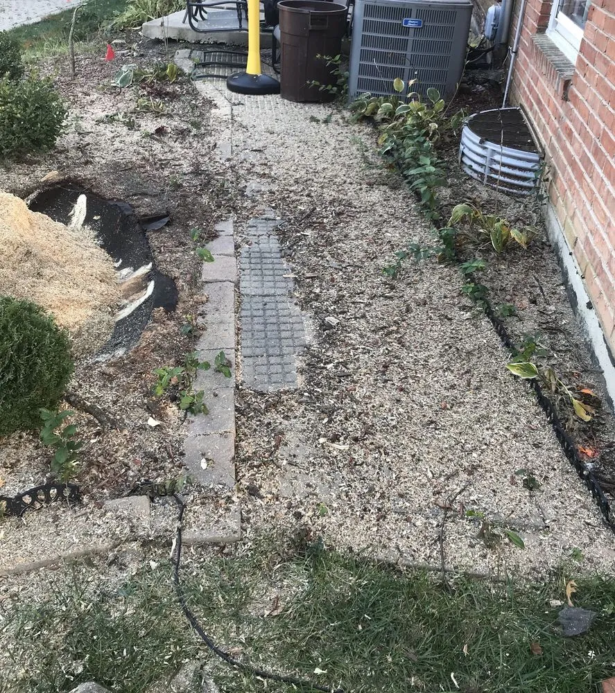 Expert outdoor landscaping experts serving Homewood, IL - Midwest Tree Service