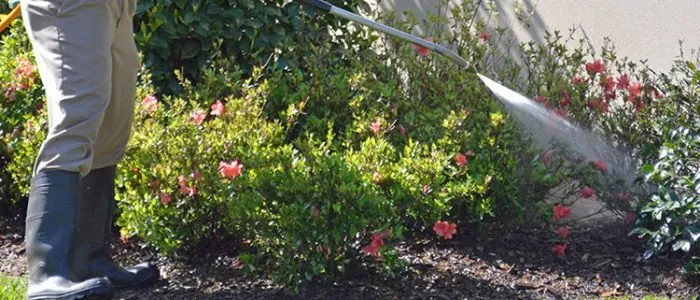 Expert landscape installation for year-round maintenance in Edwardsville, IL by Midwest Turf Management