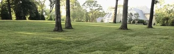 Affordable outdoor landscaping in Ofallon, MO by Midwest Turf