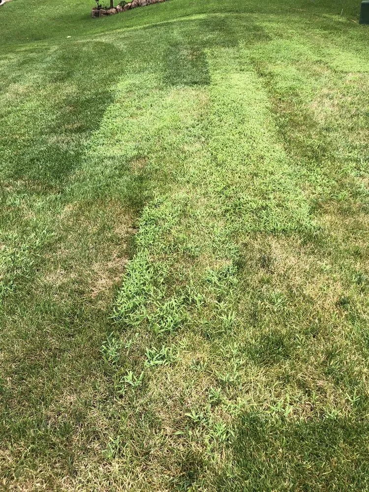 Affordable landscaping services in Ofallon, MO by Midwest Turf