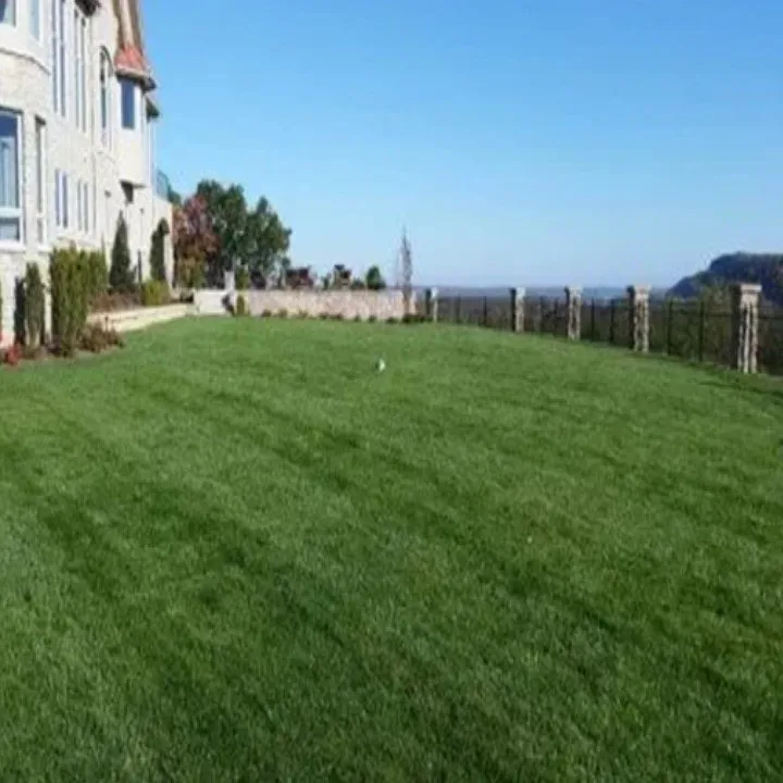 Reliable yard cleanup service for residential properties in Ofallon, MO by Midwest Turf