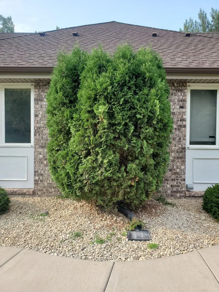 Reliable landscape installation for beautiful yards across Roseville, MN - Midwest Yard Pros