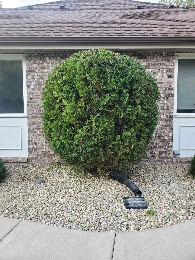 Trusted yard maintenance experts serving Roseville, MN - Midwest Yard Pros