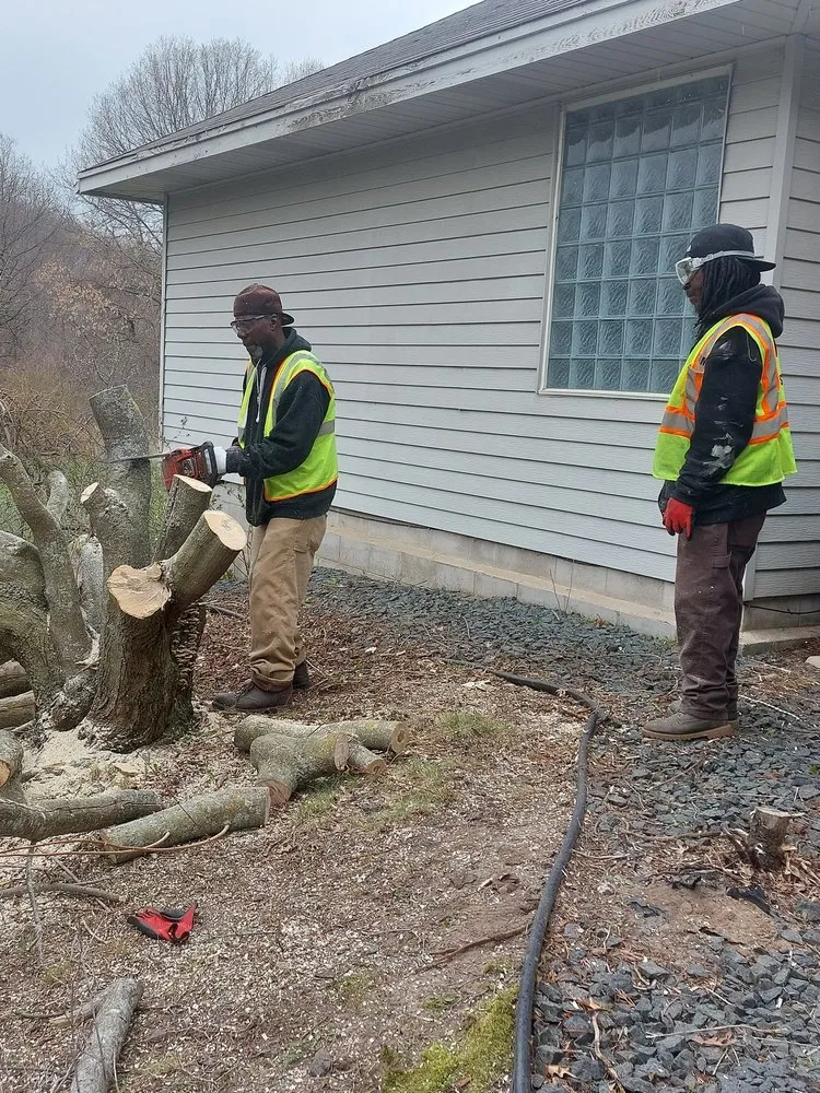 Professional landscape installation near you across Roseville, MN - Midwest Yard Pros