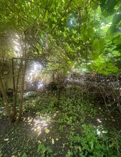 Local landscaping services for outdoor upgrades across Roseville, MN - Midwest Yard Pros