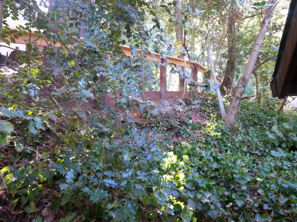 Custom garden landscaping near you in Rohnert Park, CA by Midyett Construction