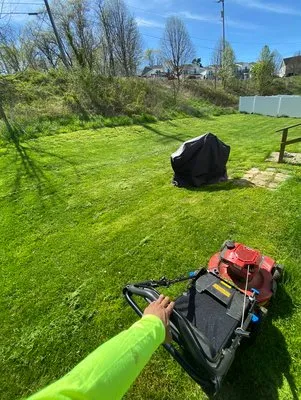 Mieozzies Lawn Service Logo