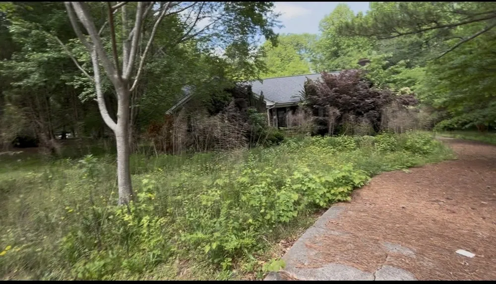 Professional lawn care service in Durham, NC - MIG Lawn Care