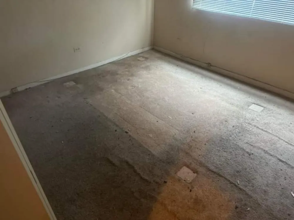 Professional residential landscaping for outdoor upgrades across Ford Heights, IL - Might Man