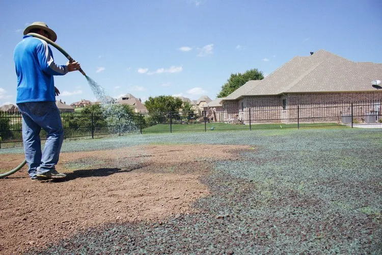 Custom yard cleanup service for residential properties across Fort Worth, TX - Mighty Green Hydromulch