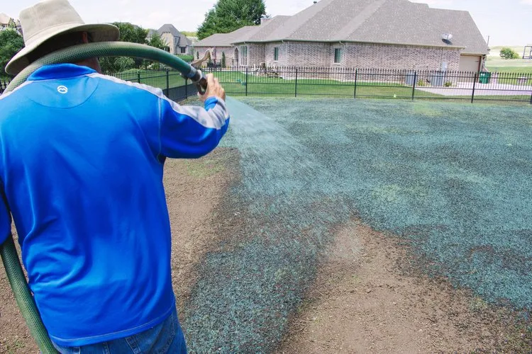 Affordable lawn mowing service in Fort Worth, TX - Mighty Green Hydromulch