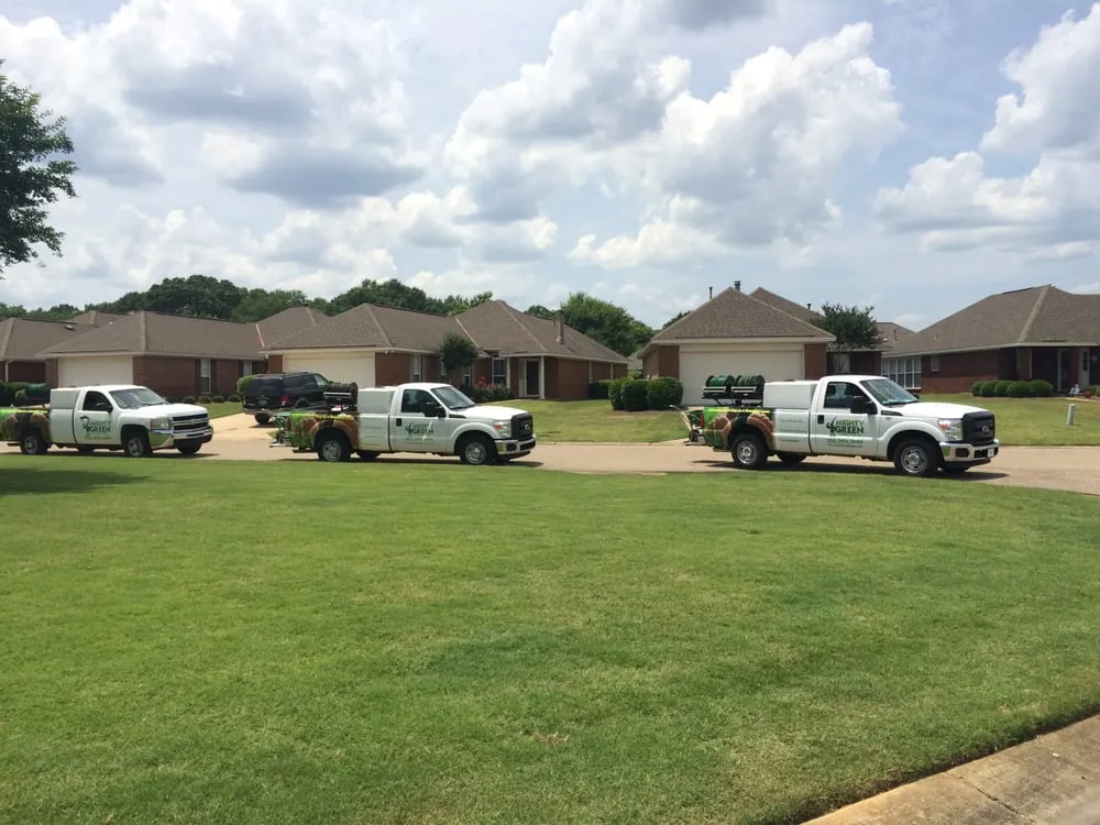Professional outdoor landscaping in Argo, AL by Mighty Green Lawn Care