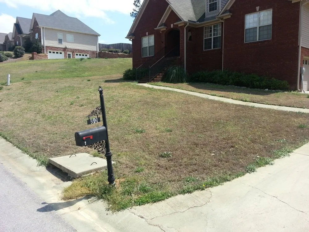 Local residential landscaping in Argo, AL - Mighty Green Lawn Care